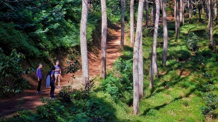 5 Destinasi Wisata Garut untuk Liburan Natal dan Tahun Baru 2026, Penuh Hiburan Seru