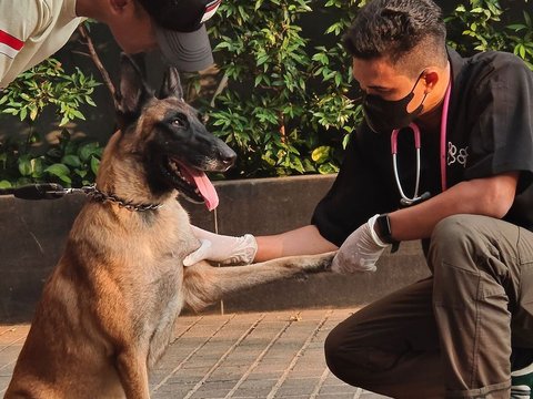 Anjing Jadi Penjaga Toko, Rekaman CCTV-nya Viral di Media Sosial