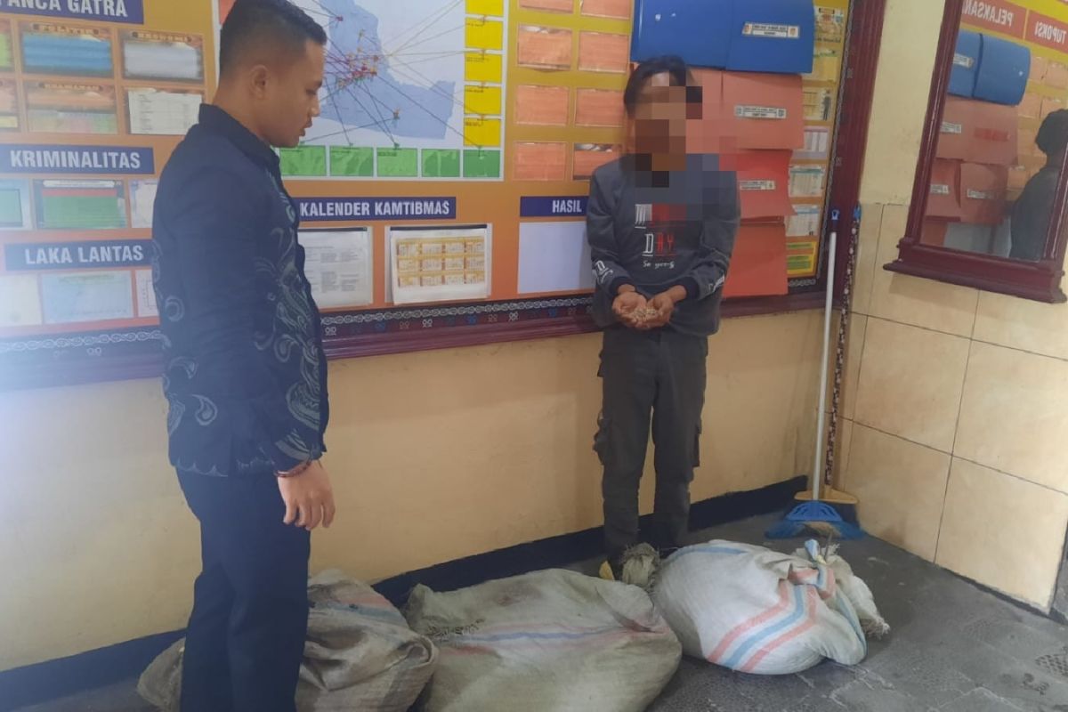 Niat curi kopi berujung maut, begini detik-detik pemuda habisi nyawa pasutri di Bener Meriah