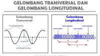 Attachment for Gelombang Digital UMKM Pemalang: Dari Lapak ke Marketplace, Omzet Melonjak Tiga Kali Lipat